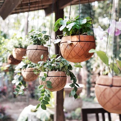 pot bunga estetik  murah  batok kelapa