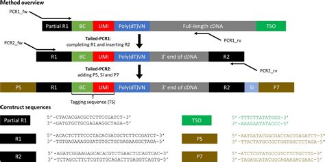 A Targeted Sequencing Extension For Transcript Genotyping In Single