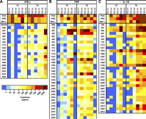 Heat Map Of Whole Blood Cytokine Responses To A Subset Of M