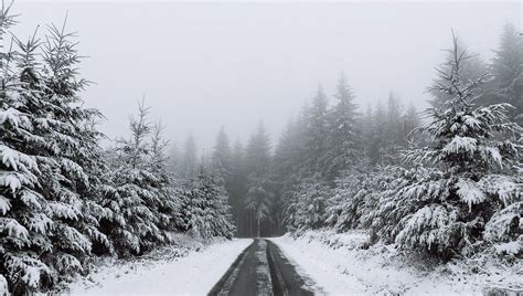 La Loz Re En Vigilance Jaune Pour Neige Et Verglas France Bleu