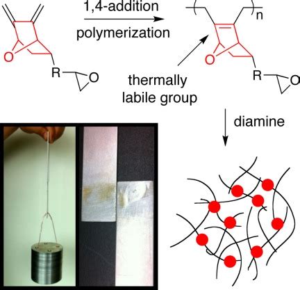 Synthesis Of Thermally Degradable Epoxy Adhesives Luo