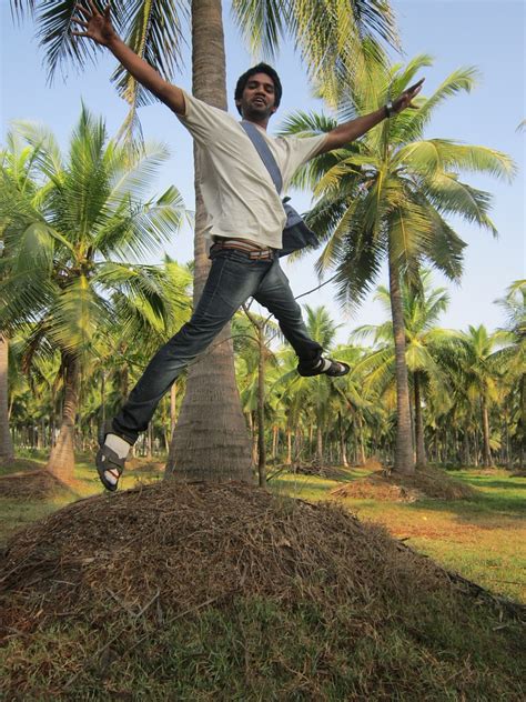 Jump Joy Freedom Free Photos On