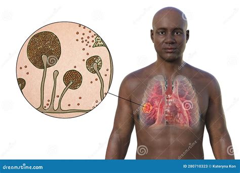 A D Illustration Of The Upper Half Part Of An African Man With