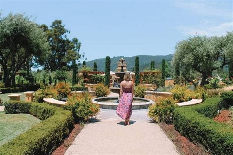 Santa Cruz Wineries Guide: Wine Tasting In The Santa Cruz Mountains