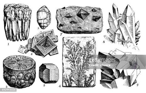 544 Ores Drawing Stock Photos High Res Pictures And Images Getty Images