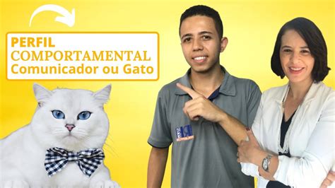 Disc Perfil Comportamental Influente Comunicador Youtube