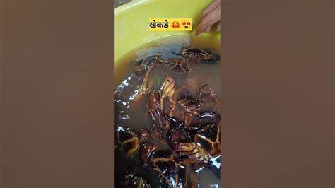 खेकडीच खेकडी Crab Lover Youtube