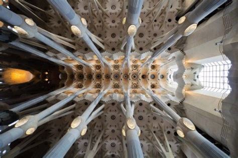 Sagrada Familia Cathedral Architecture Ceiling Masterpiece Of Modernism