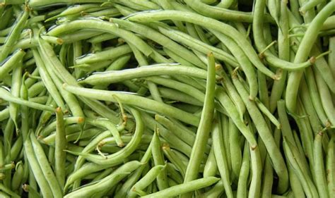 beans vegetable definition  top benefits  beans