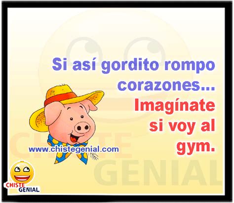 Si Así Gordito Rompo Corazones Imagínate Si Voy Al Gym Chistes