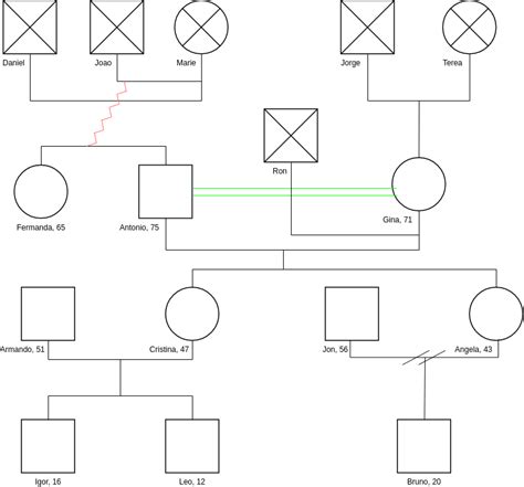 Simple Family Tree Template Genogram Template Genogram Example Images