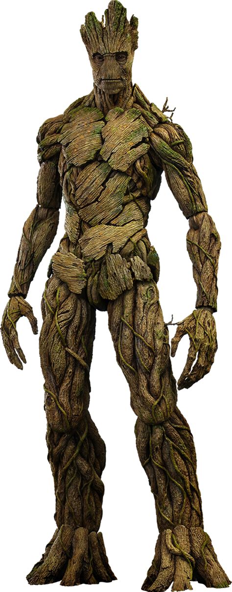 Groot PNG Image - PNG All | PNG All