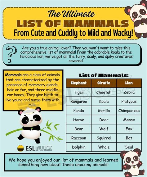 comprehensive list  mammals  animal lovers eslbuzz