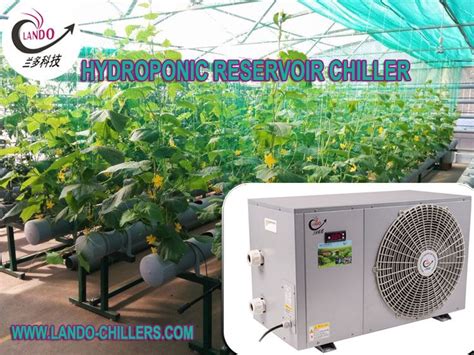 Diy Water Chiller For Hydroponics Thanh Peeples