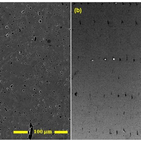 SEM Images Of The Cross Section Section A A Figure 3 Of The Polished