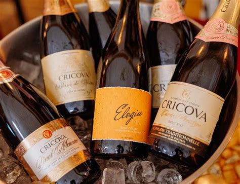 Какие молдавские игристые вина появились в 2022 году? — Wine and Spirits