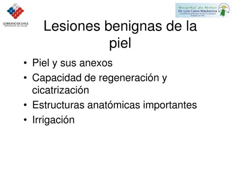 Ppt Cirugía De Lesiones Benignas De La Piel Y Sus Anexos Powerpoint