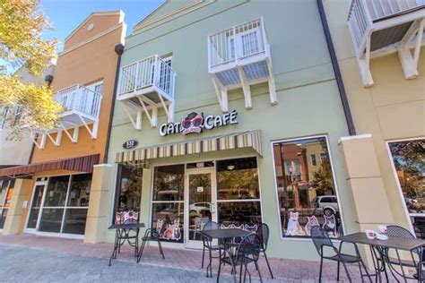 Coffee Shops Orlando Quirky And Unusual Cafés Top Villas