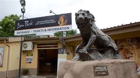 Lion & Safari Park Tours - Book Now | Expedia