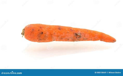 Rotten Carrot Isolated Stock Image 88674601