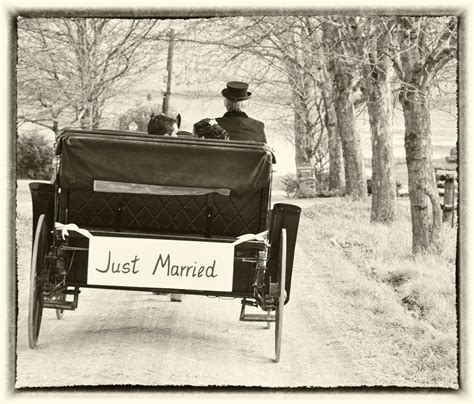 Free stock photo of carriage, married, wedding