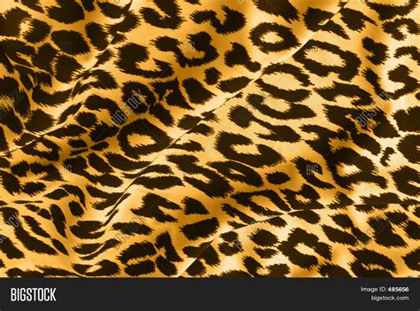 Animal Print On Fabric Image & Photo (Free Trial) | Bigstock