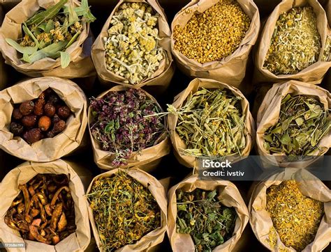 Medical Herbs Stock Photo Download Image Now Herbal Medicine Herb