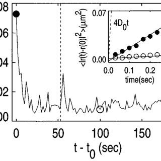 Time Dependence Of The Average Self Diffusion Coefficient Normalized By