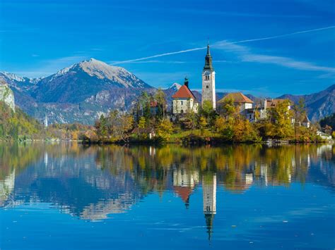 Beograd Bled Slovenija Etno Kamp