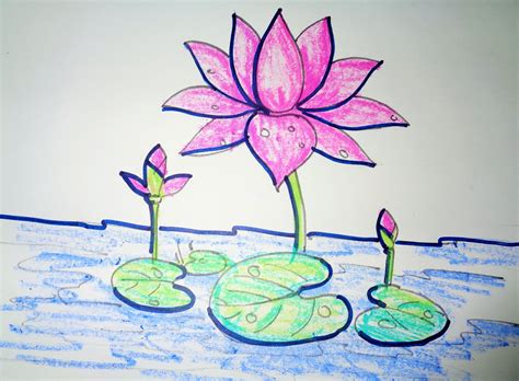 Lotus Flower Pencil Drawing At Getdrawings Free Download