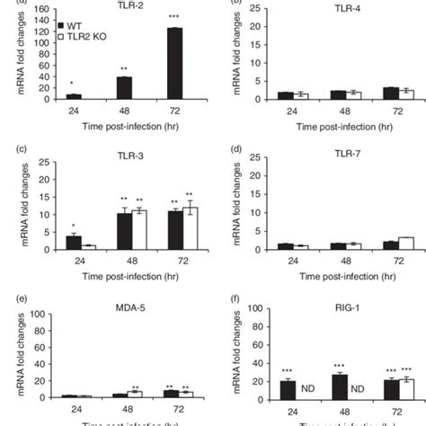 Messenger Rna Levels Of Toll Like Receptor 2 Tlr2 Tlr4 Tlr3 Tlr7 Download Scientific