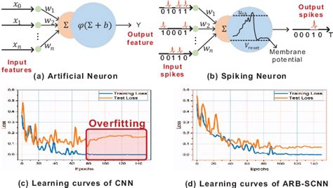 Figure From Mitigating Overfitting For Deep Learning Based Aging