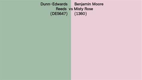 Dunn Edwards Reeds DE5647 Vs Benjamin Moore Misty Rose 1360 Side By