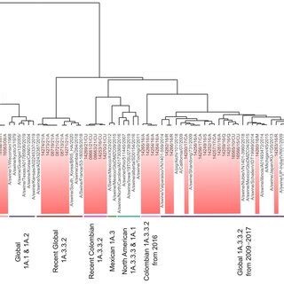 Sequence-based antigenic cartography of Colombian and global swine H1... | Download Scientific ...