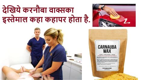 What Is Carnauba Wax कारनौबा मोम क्या है Uses Of Carnauba Wax कारनौबा मोम का उपयोग Youtube