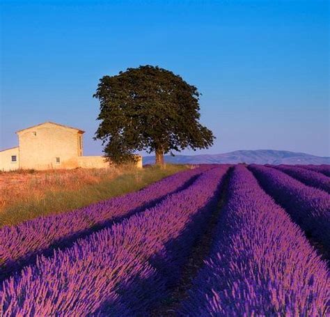 Las 10 Mejores Cosas Que Hacer En Aix En Provence 2022 Con Fotos