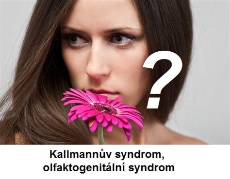 Kallmannův Syndrom Olfaktogenitální Syndrom Příznaky Projevy