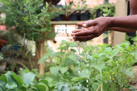 Cáritas Por que é importante falar sobre o racismo ambiental no dia