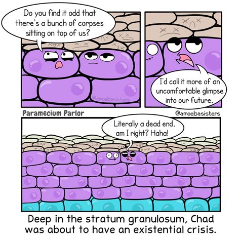 Science with The Amoeba Sisters - Paramecium Parlor Comics