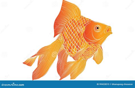 Goldfish Drawing Vector Stock Vector Illustration Of Mammal