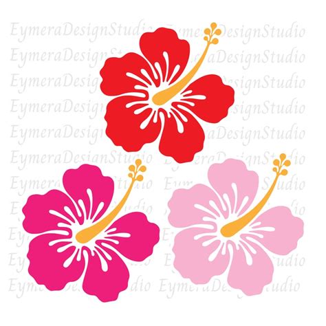 Hibiscus Flower Svg Etsy