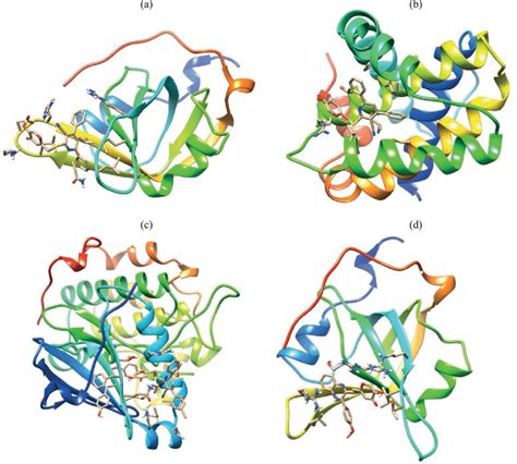 Predicted structures of protein ligand complexes for compound 13а and