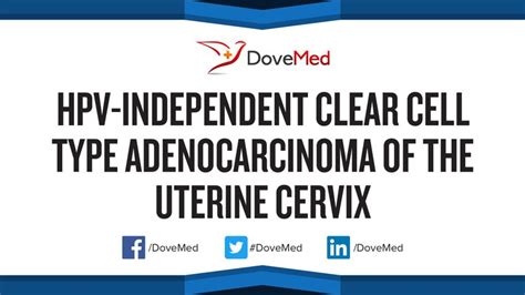 Hpv Independent Clear Cell Type Adenocarcinoma Of The Uterine Cervix