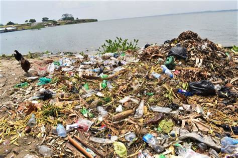 Climate Change Could Be The Cause Of Third World War Eagle Online