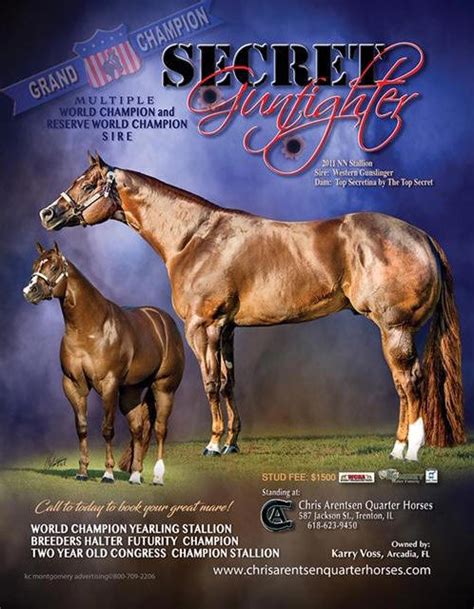 East Coast Halter Futurity Stallion Roster