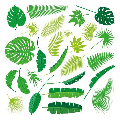 Tropical Leaves Collection Isolate Vector Big Set Stock Vector