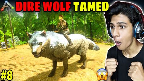 I Tamed A Very Dangerous Wolf 🔥 Ark Survival Evolved Part 8