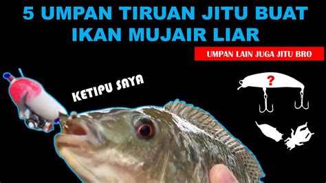 5 Umpan Tiruan Paling Jitu Buat Ikan Mujair Liar Cocok Main Casting