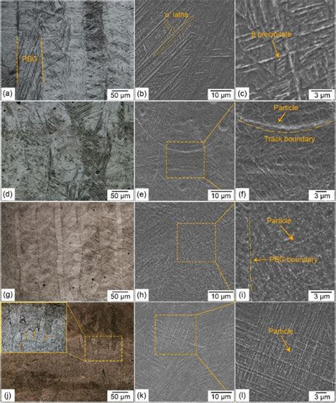 E Om And Sem Images From The Cross Section Of The Lpbf Fabricated