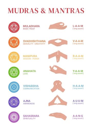premium vector chakras mudras  mantras hands  mantras